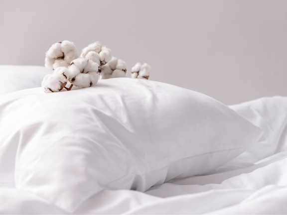 Organic Cotton Pillow – Magnolia Organics